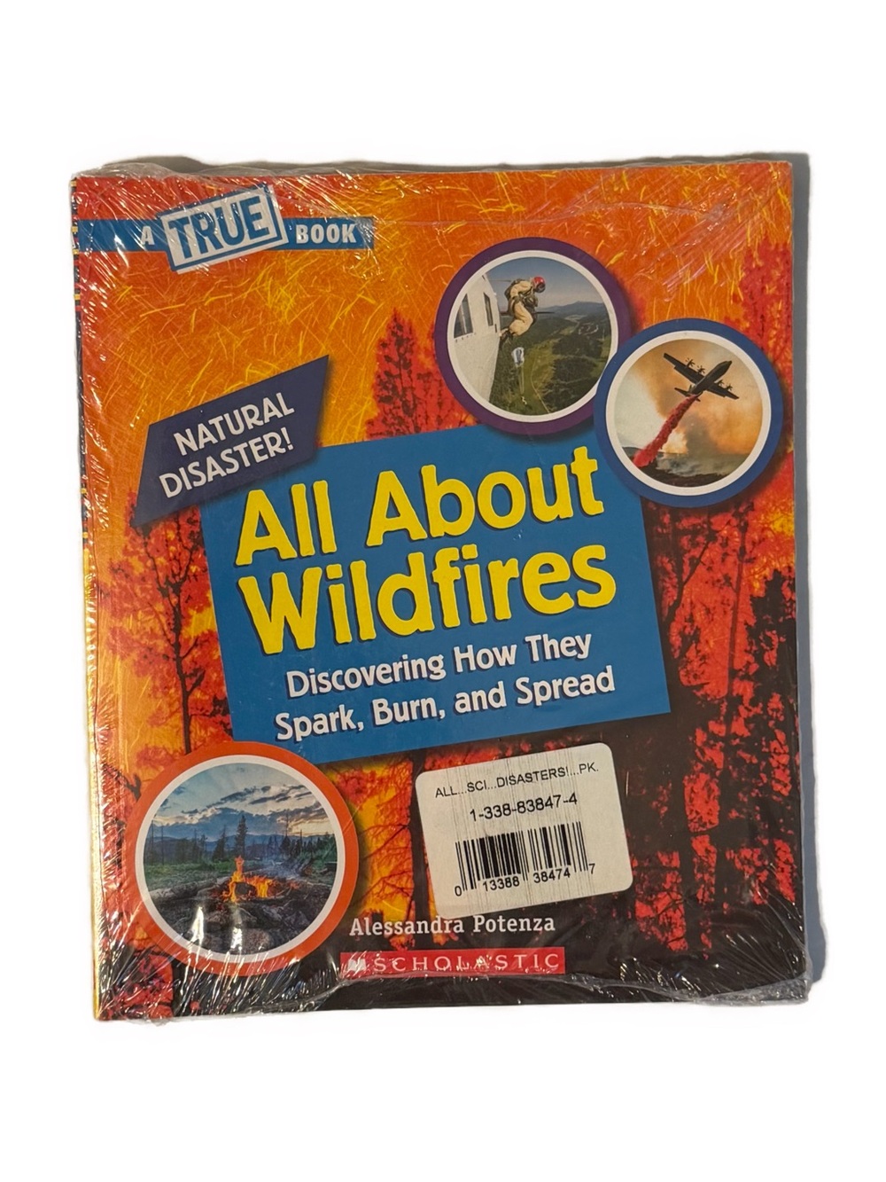 All About Wildfires, Volcanoes, Hurricanes, Tornadoes, and Earthquakes